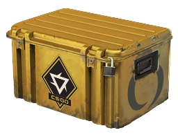 CS2 Case